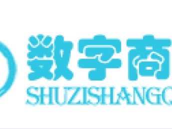 图 上海哪里有定制开发的公司 上海网站建设推广