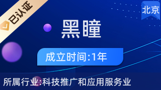 上海黑瞳网络科技北京分公司