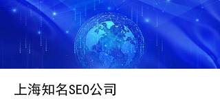 上海网络seo公司(网络推广seo-新技术-上海森琦阳seo公司)